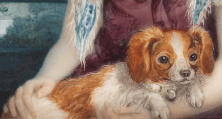 Dame mit Hund — 01j9csfa3j0856y507j0bpkpmk